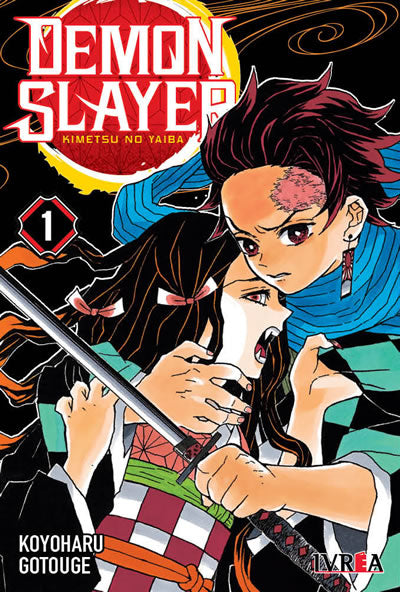 DEMON SLAYER: KIMETSU NO YAIBA Vol.1