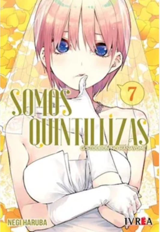 Somos Quintillizas Vol. 7 | IVREA Argentina
